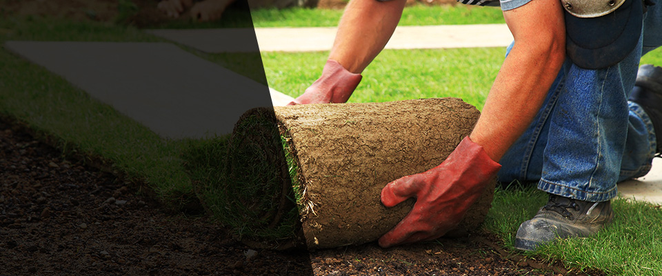 Cooksville Landscapers